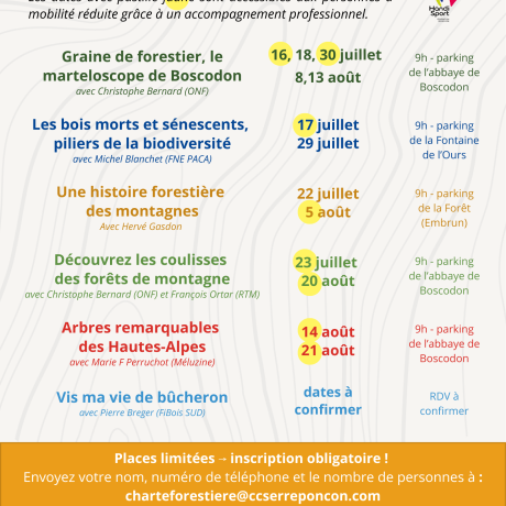 Programme été 2025 Programme été 2025